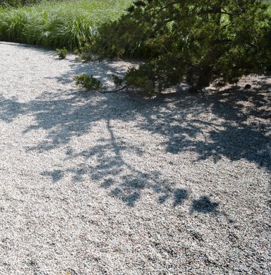 The play of shadows on a contemporary material. Ceated by almost bonsai like tree called Pinus parviflora