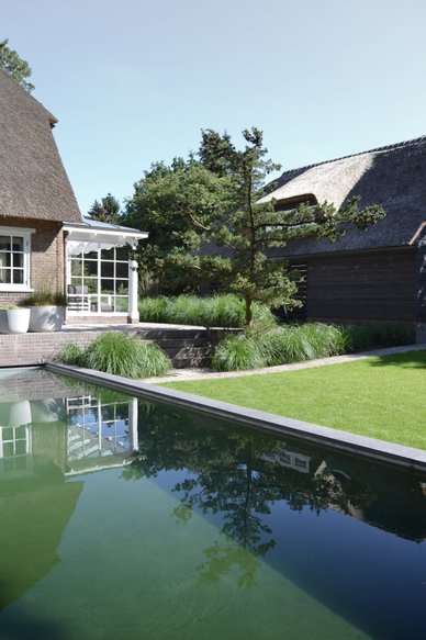 using concreet at the surface of the swimming pool does not make it stand out. Instead it is a beautiful element that combines perfectly with the garden design