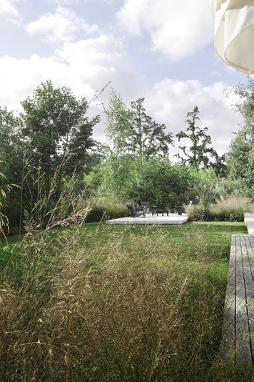 Contemporary Landscape Architecture - Copyright © Andrew van Egmond - Minimal Design - ornamental grasses