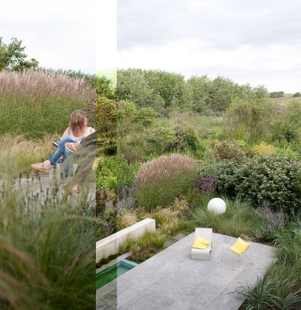 Andrew van Egmond -  Contemporary  Landscape architecture - nature inclusive - The Netherlands - rewilding garden